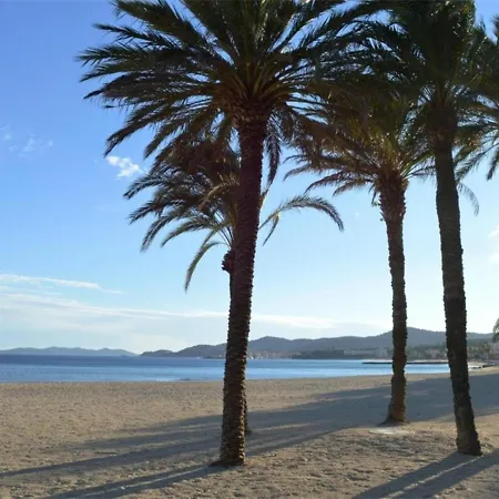 : T2 Avec 4 Couchages, Terrasse, Parking En Option, Animaux Admis - Fr-1-251-212 Le Lavandou