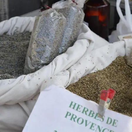 : T2 Avec 4 Couchages, Terrasse, Parking En Option, Animaux Admis - Fr-1-251-212 דירה לה לבאנדו