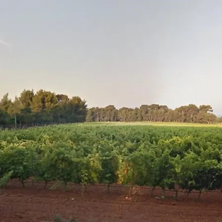 דירה : T2 Avec 4 Couchages, Terrasse, Parking En Option, Animaux Admis - Fr-1-251-212